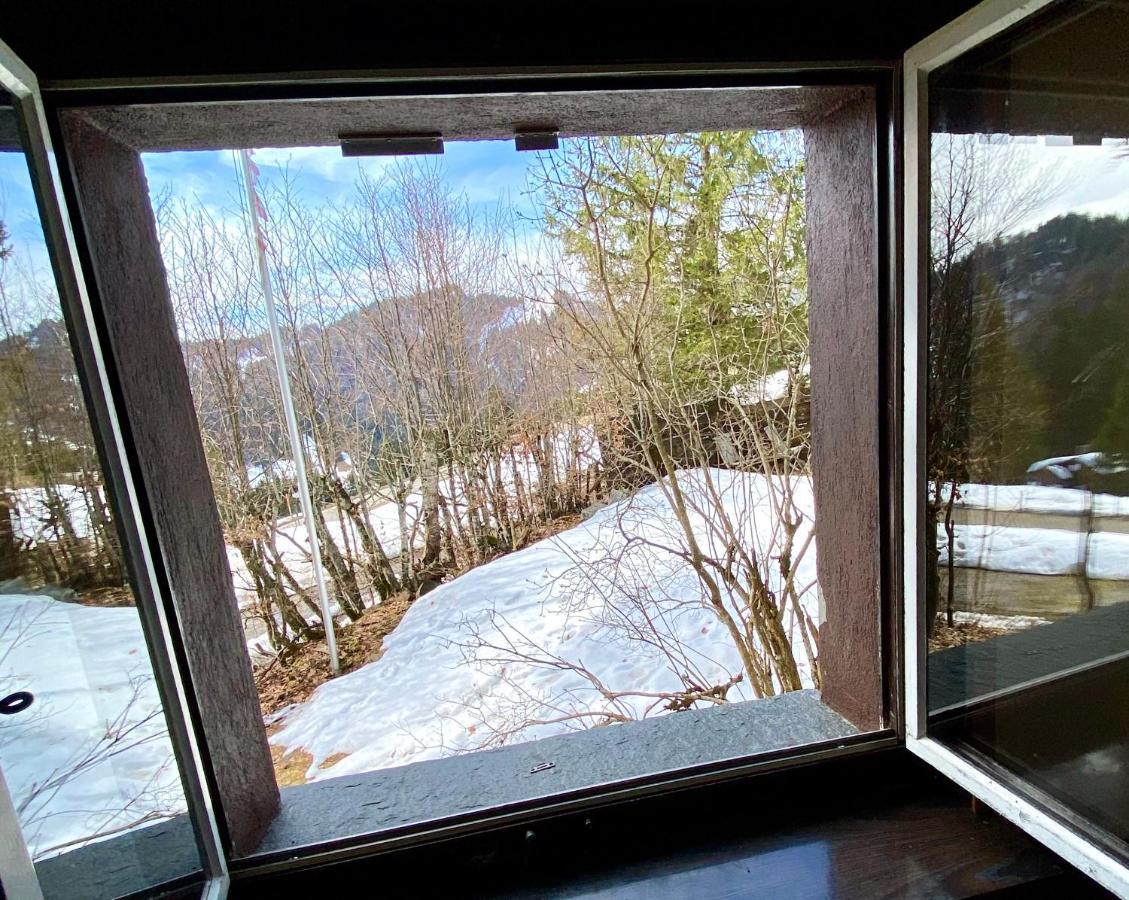 Saentisecho - In Der Natur Zu Hause Urnäsch Exteriör bild