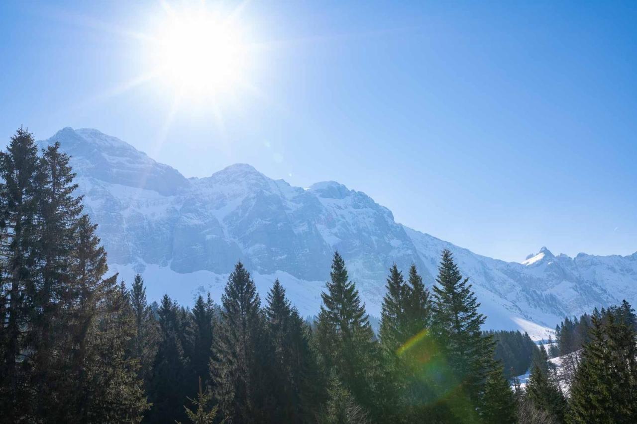 Saentisecho - In Der Natur Zu Hause Urnäsch Exteriör bild