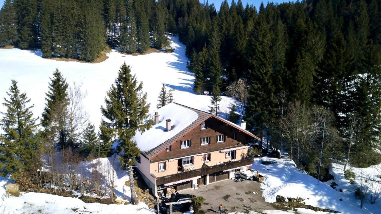 Saentisecho - In Der Natur Zu Hause Urnäsch Exteriör bild